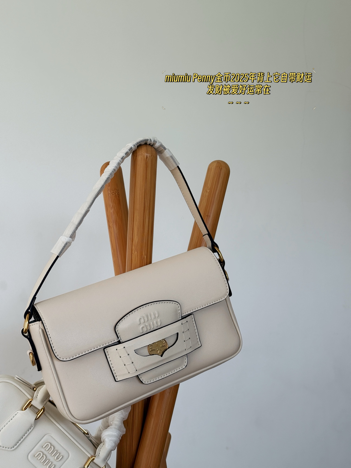 MiuMiu bag 121
